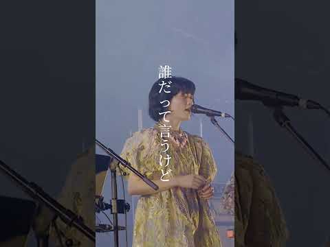 「Regulus」音博2025 #くるり #京都音博2025 #Regulus #今年の音博で初披露