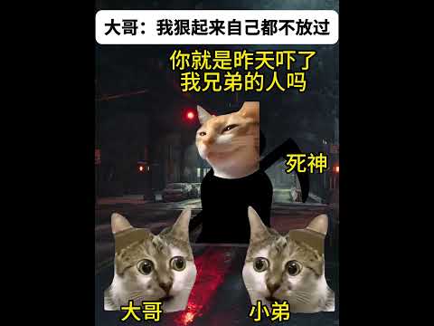 猫のミーム劇場：リアルなストーリーと人気猫memeの魅力紹介 サムネイル