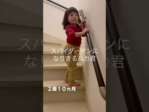スパイダーマン🕷️になりきるルカ君😆#2歳 #shorts #spiderman