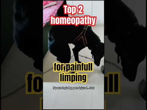 Best homeopathy for dog limping condition