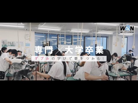 【在校生インタビュー🎤】WaNなら大学・短大の卒業資格も目指せる!
