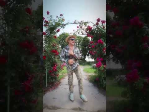 Сам себе я запитав, чом давно я не літав?