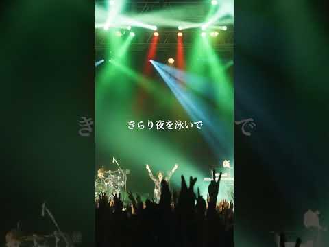 ワンマンライブ『共鳴』大阪まで残り3日！ #すりぃ #ライブ #ライブ映像 #大阪 #超ピース