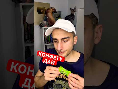 Конфету дай #юмор #рекомендации #прикол