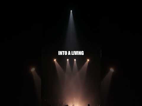 The Kindness Carnival Surprise