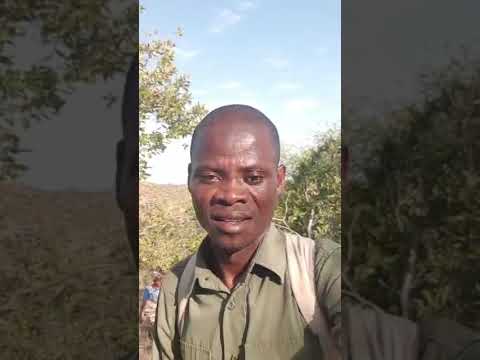 Malawi pastor prayer on the mountain