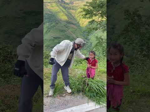 Em bé xinh gái vác cỏ #comedy #funny