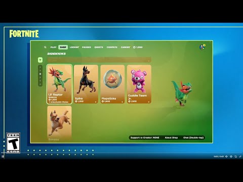 SIDEKICKS IN FORTNITE OFFICIAL TRAILER, PETS, COMPANIONS, FORTNITE NEW COSMETIC GUIDE PRICES
