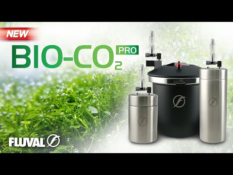 BOOST YOUR PLANTS TO THE MAX | Fluval Bio-CO2 Pro