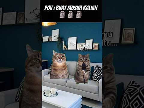 Pov : Kirim Ke Musuh Kalian 🗿 #meme #cat #kucing #animation #fypシ
