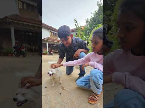 Palakkad - @AmmachisOrganicFarms #farmhouse #palakkad #shortvideo