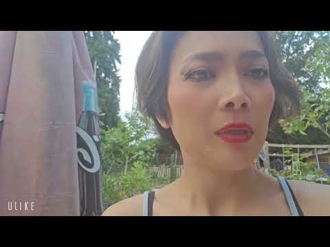 Cơ hội mới thu nhập phụ cho anh chị Việt Nam sống tại Châu Âu.