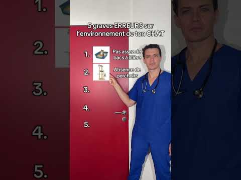 5 erreurs avec ton chat #top #chat