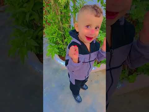 كسار مصاصة بسناني