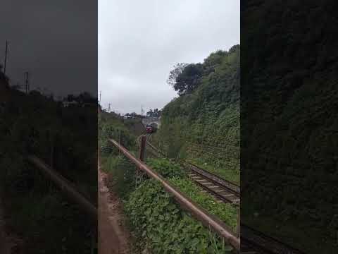 #shorts#yt#birds#song#love#train#ooty#pollachi#travel#trending#subscribemychannel#coolie