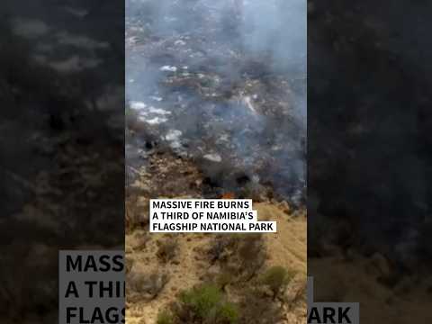 Massive fire burns a third of Namibia’s flagship national park