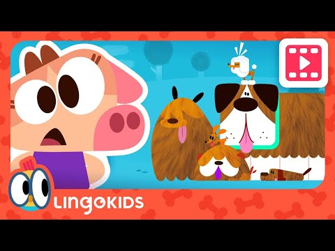 CARING FOR PETS 🐶🐾  Pets for kids | Cartoons for kids | Lingokids