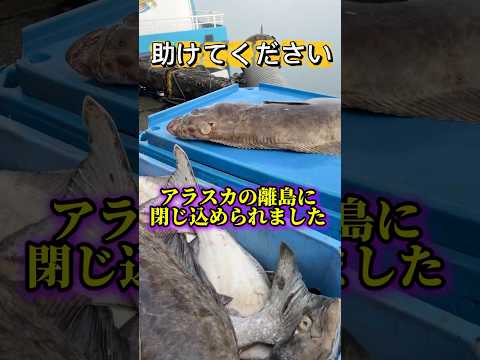 アラスカの離島で帰れなくなりました。