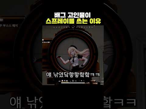 배그 고인물이 스프레이를 쓰는 이유