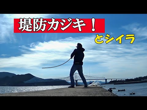 【激堤防】バショウカジキ！とシイラ 2025#13