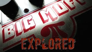 Big Muff - Explored - Discovering a Classic