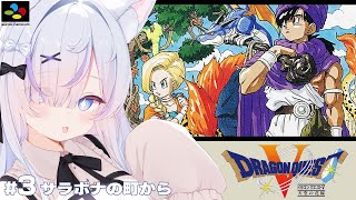 【SFC】ドラゴンクエストV天空の花嫁を完全初見プレイ！サラボナの町を目指すぞっ✨┊︎#3【ねこもふる】