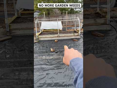 Do This For NO WEEDS In Your Garden