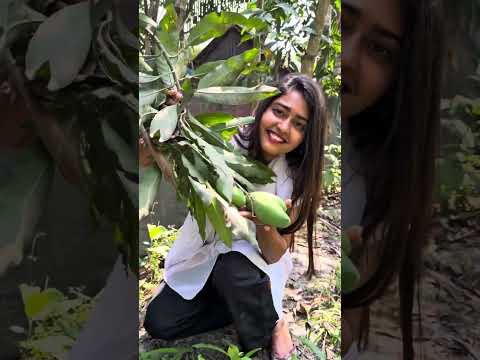 পপি হালদারের ফলের বাগান 😍 #foryou #village