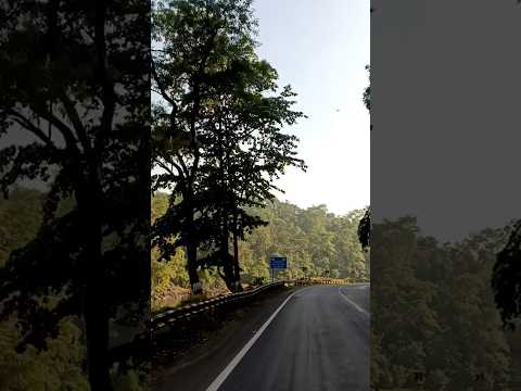 sundari#shorts #subscribe #vairalshort#trandingshorts #nature #youtubeshorts #youtuber