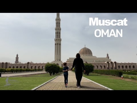 3 Days in Muscat, Oman  | Culture, Sea Turtles & More