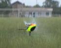 Cutting Grass with TREX600 Nitro Helicopter - UCsFctXdFnbeoKpLefdEloEQ