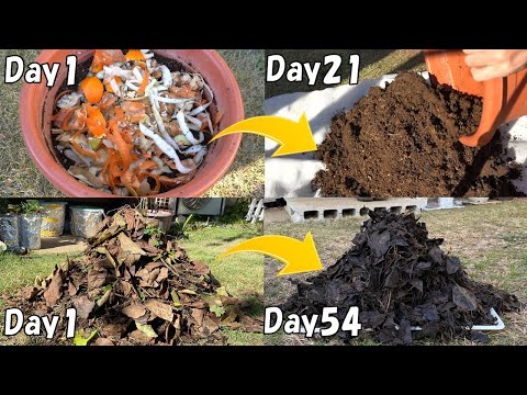 土はもう買わなくて大丈夫！生ゴミも落ち葉も捨てないで！【古い土の再生方法と腐葉土の作り方】 |  A very easy way to reuse soil and make leaf mold