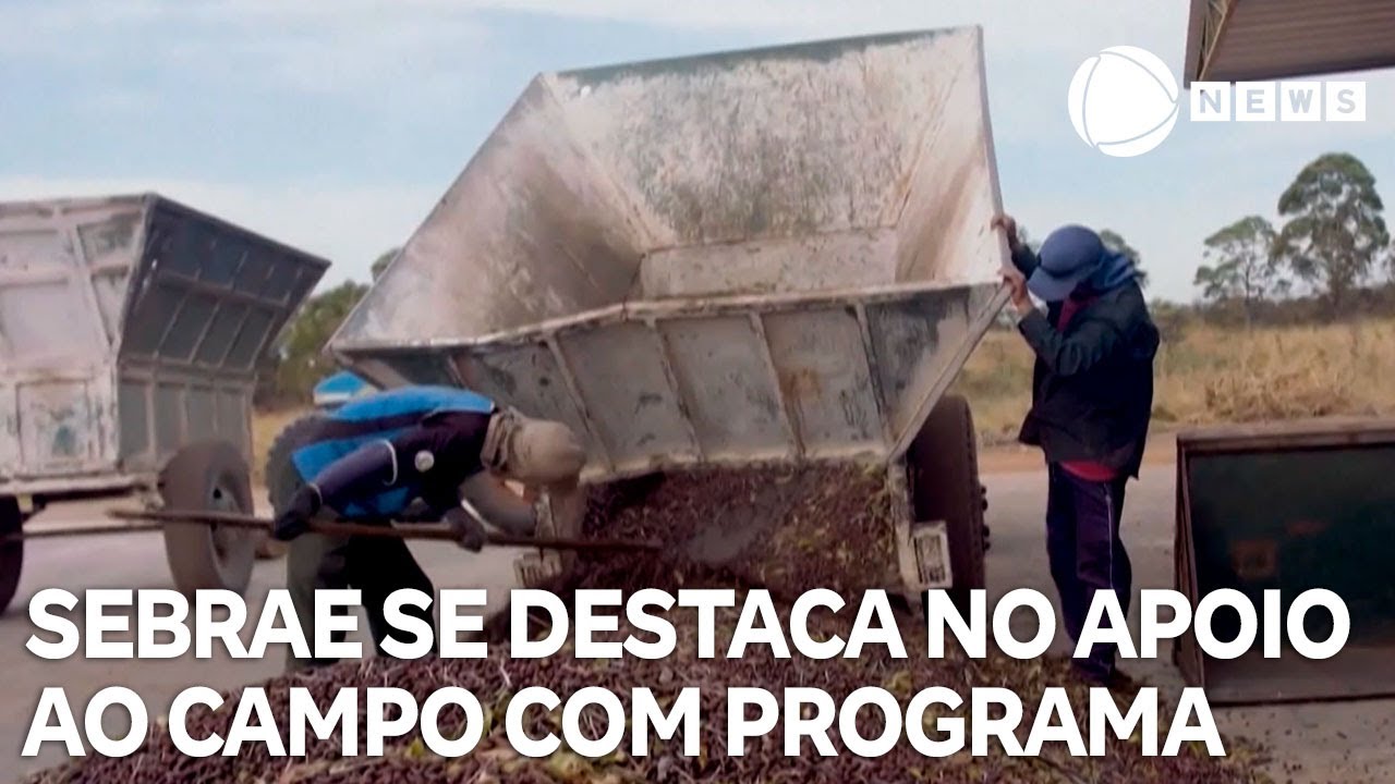 Sebrae se destaca no apoio ao campo por meio do programa Agentes Locais de Inovação Rural