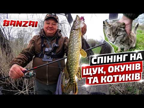 Хитрощі весняного джигу - щуки та окуні на Crazy Fish Banzai 802LS