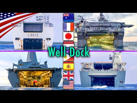 Look Inside the Well Docks of Amphibious Ships Around the World