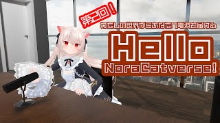 第二回！「わたしの世界」から届くお便りを紹介するラジオ番組　Hello NoraCatverse!