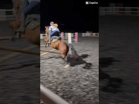 Lily and maddie! (Not ours) 90cm!