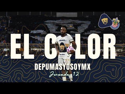 🔹🔸Los Pumas pierden 1-2  su jornada 12 vs Guadalajara