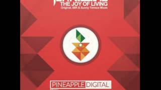 Jon Medina - The Joy of Living (Sunny Terrace Remix)