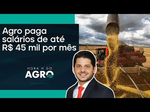 Saiba os cargos mais procurados no agro | HORA H DO AGRO