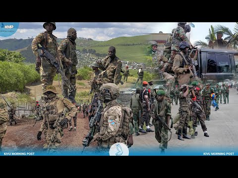 RDC: FARDC EKOMISI BASODA PONA KO BUNDISA AFC-M23, BA WAZALENDO BABANDI BITUMBA NA NGWESHE