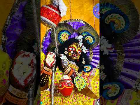 आज राधा दामोदर भगवान माखन चोरी लीला दर्शन 🥰🥰#viralvideo