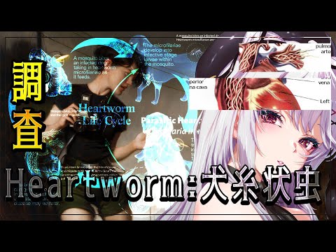 thumbnail_SVWwNRecIDs