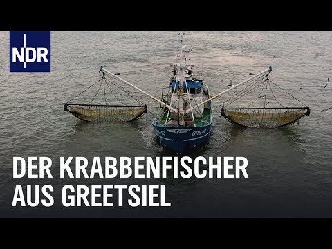 Knochenjob auf dem Krabbenkutter | Die Nordreportage | NDR Doku