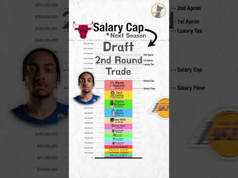 Salary Cap Breakdown - Chicago Bulls
