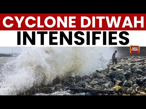 Cyclone Ditwah News: Red Alert Tamil Nadu, Rough Seas at Marina | India Today