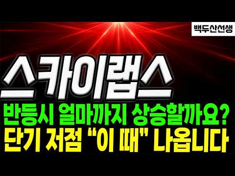[스카이랩스 주가전망] 고점,저점 다 잡아드렸습니다. 이번에도 타점은 이렇게 잡으세요