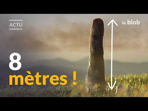 Et si ce géant préhistorique révélait une nouvelle branche du vivant ? Le mystère des prototaxites