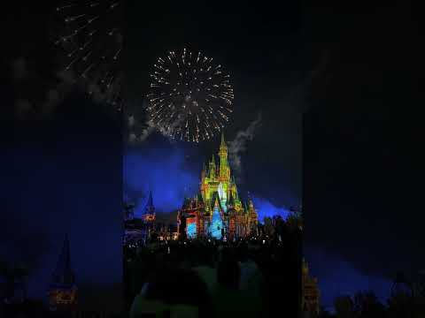 <strong>Disney</strong> <strong>World</strong>-Magic Kingdom “Happily Ever After” Firework Show