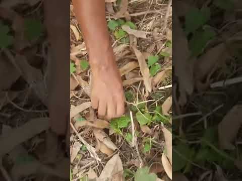 দম ফাটা হাসির ভিডিও 🤪😂 #shorts #funny #comedy